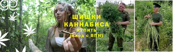 дурь Алексеевка