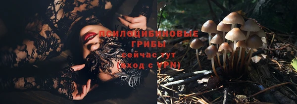 дурь Алексеевка