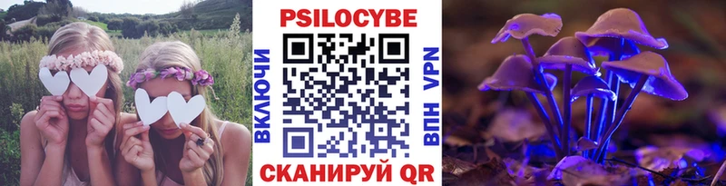Псилоцибиновые грибы Magic Shrooms  KRAKEN   Полтавская 